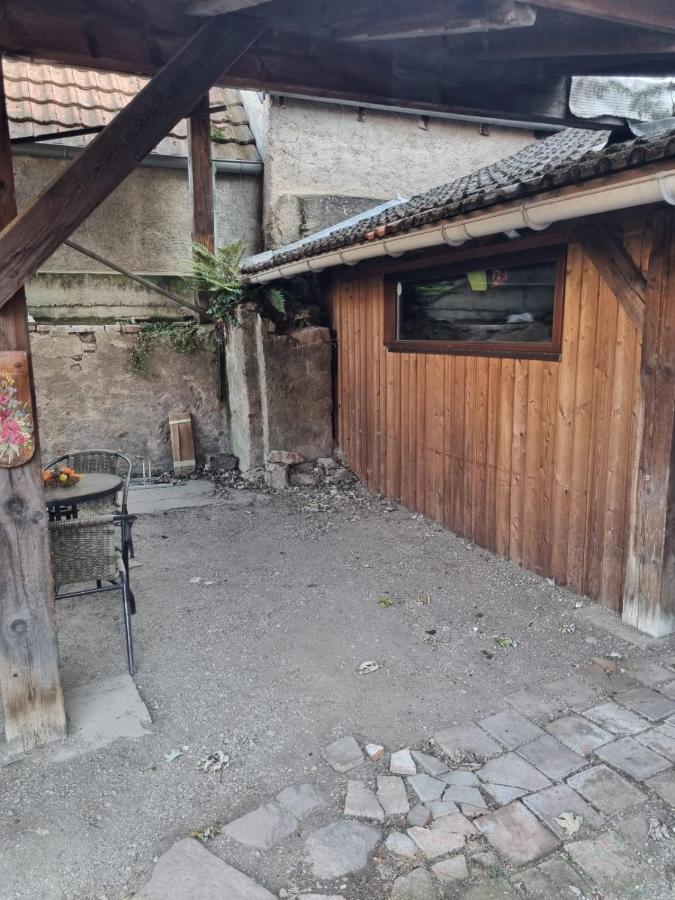 Nid Douillet Au Coeur Du Vignoble Alsacien Apartamento Kintzheim