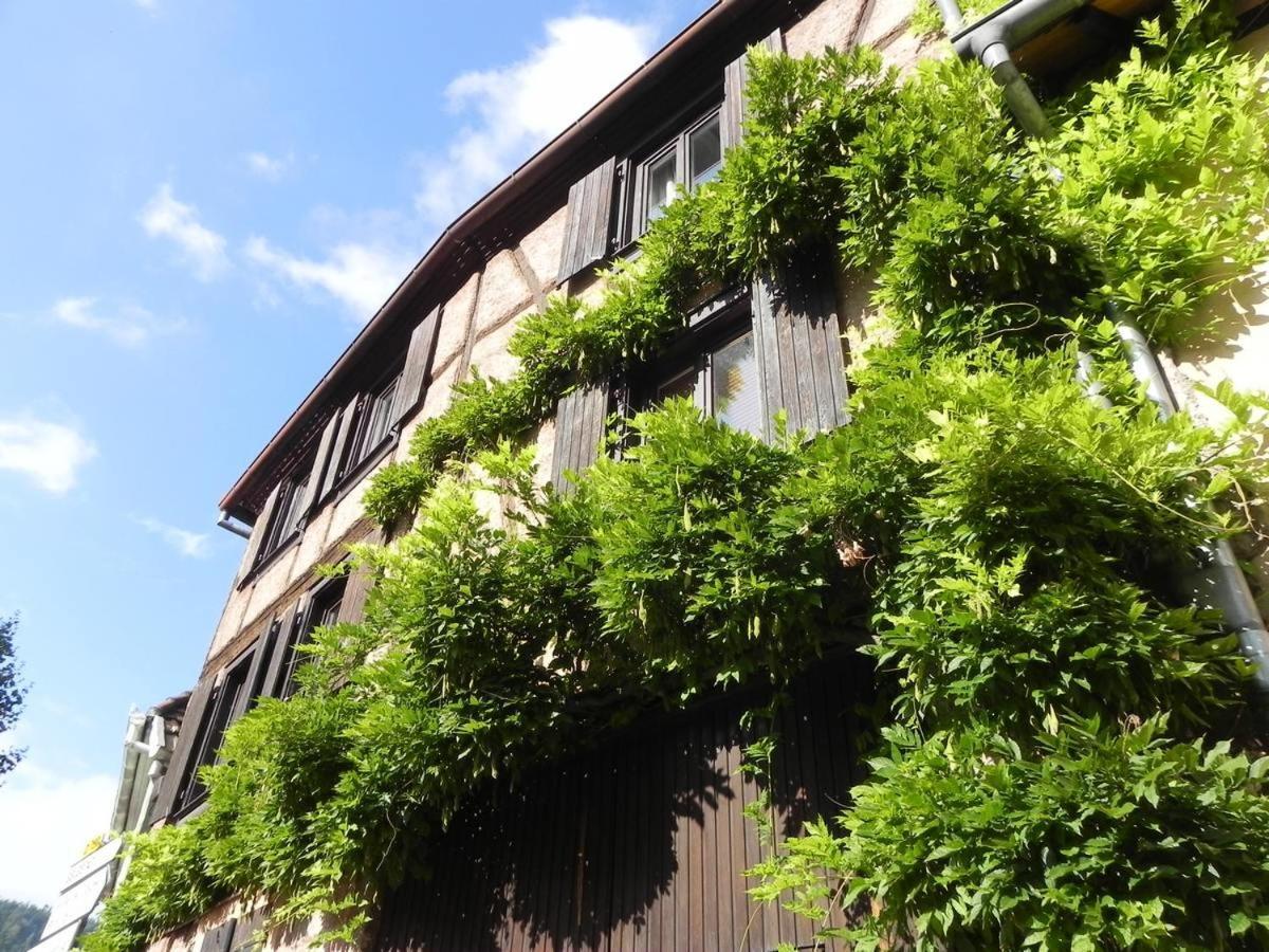 Nid Douillet Au Coeur Du Vignoble Alsacien Apartment